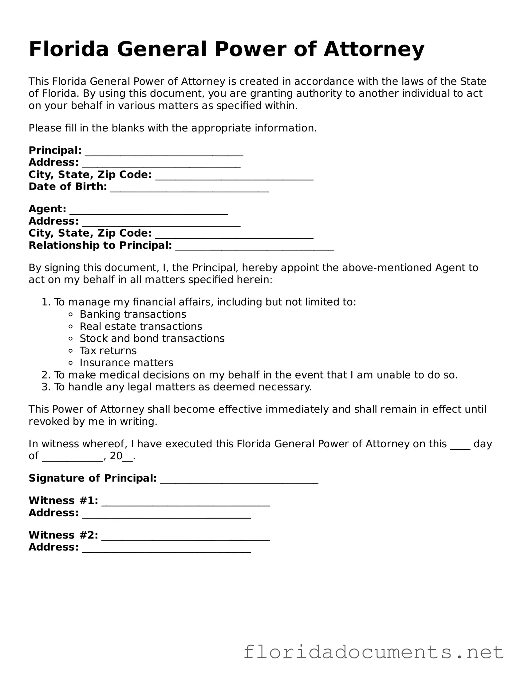 Free  General Power of Attorney Document for Florida