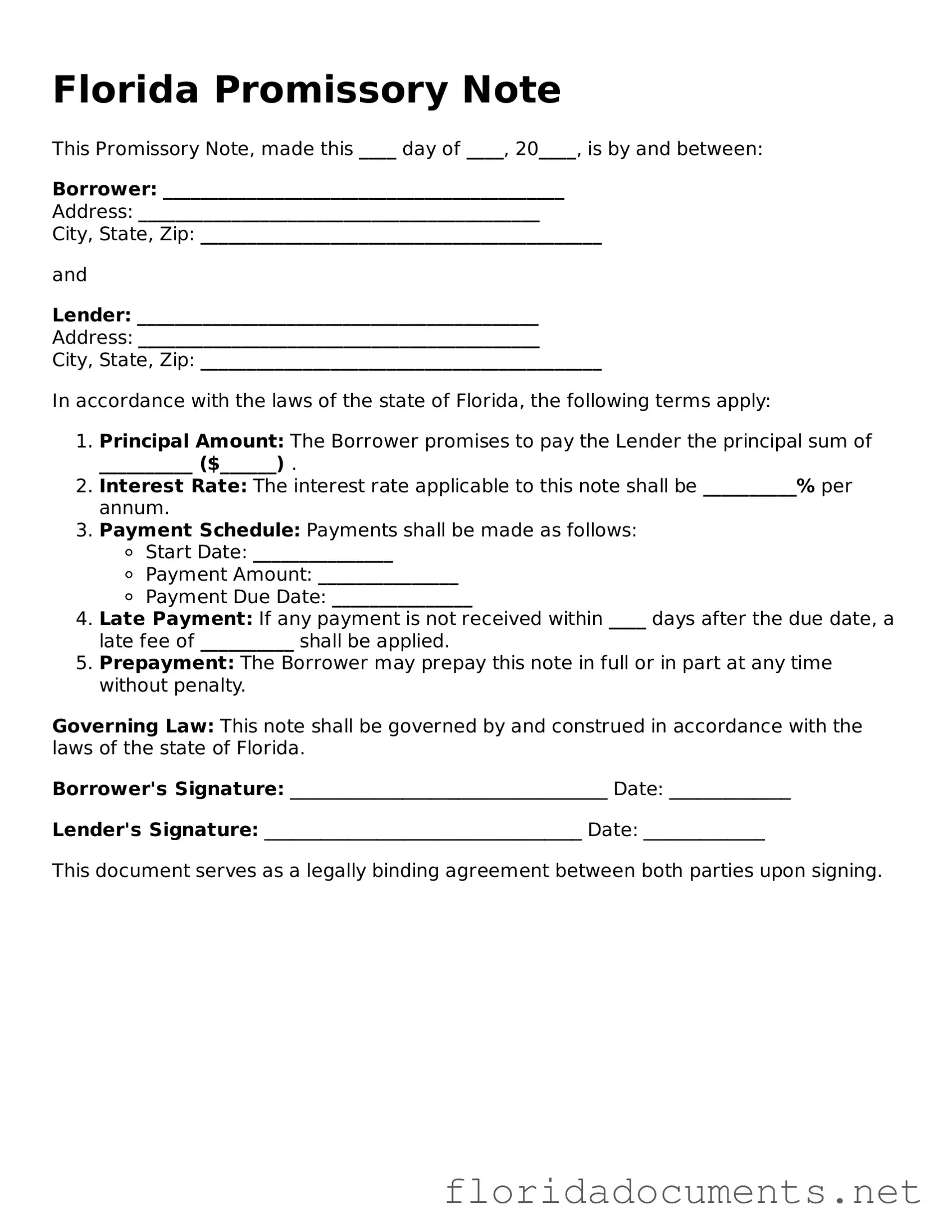 Free  Promissory Note Document for Florida
