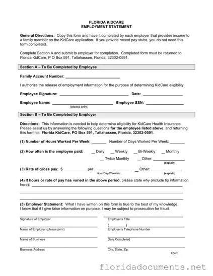 Fill in a Valid Florida Kidcare Form